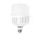 Lâmpada Led Alto Potência 150W 6.500K E40 Bivolt Ourolux